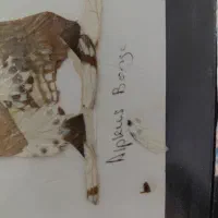 تابلو هنری کمیاب با بال پروانه دارای امضا|کلکسیون و سرگرمی|نوشهر, |دیوار