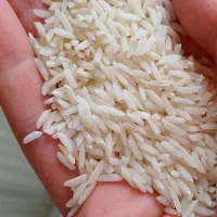 برنج هاشمی خالصدرجه یک