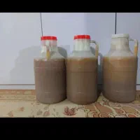 عسل کنار
