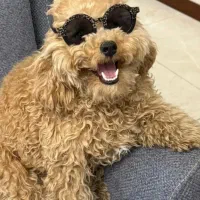 آموزش