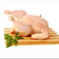 استیک ومرغ عمده