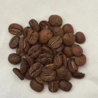 تنوع دان قهوه با کیفیت صادراتی ، قیمت رقابتی عمده