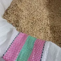 چلتک علی کاظمی درجه یک