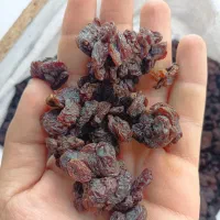 کشمش سورت لیزر افتابی بدون حتی یه دونه سوک