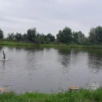 استخر ماهی