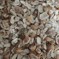 خاصویی پفیلا آویشن اردتمرخرما کارتونی چیپس خرما|خوردنی و آشامیدنی|تهران, شهرک دانشگاه|دیوار