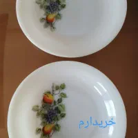 یک بشقاب ارکوپال برنج خوری ودوعددگود