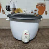 پلوپز نگین خزر