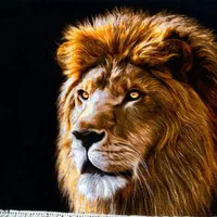 نیازمند تابلو فرش سعادتی|استخدام هنری و رسانه|سنندج, |دیوار