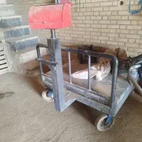 باسکول،قاپان