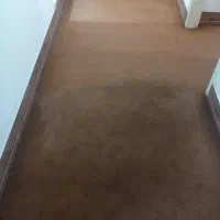 شستشوی سرامیک، تاتامی شستشوی موکت در منزل، کف شویی|خدمات نظافت|شیراز, تاچارا|دیوار