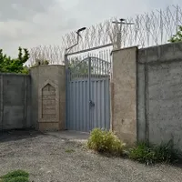 باغ ۸۰۰ متری در بکه شهریار|فروش خانه و ویلا|وحیدیه, |دیوار