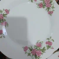 بشقاب گل سرخی