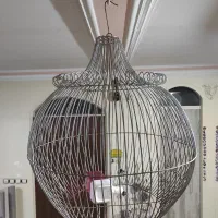 قفس گرد بزرگ