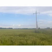 فروش سه و نیم هکتار زمین بر جاده اسفالت