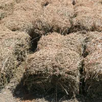 فروش یونجه|خدمات باغبانی و درختکاری|منوجان, |دیوار