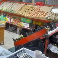 واگذاری میوه فروشی