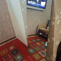 آینه قدی ۲عدد