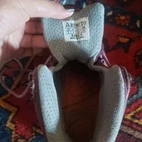 کفش هامتو نو|کیف، کفش، کمربند|اصفهان, خانه اصفهان|دیوار