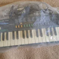 Casio SA20