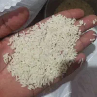 برنج هاشمی ۱۴۰۴ ارگانیک درجه یک با آب چشمه|خوردنی و آشامیدنی|نسیم‌شهر, |دیوار