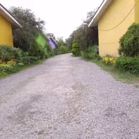 نگهبان شب برای هتل