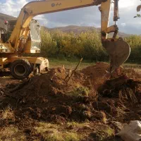 خرید انواع چوب