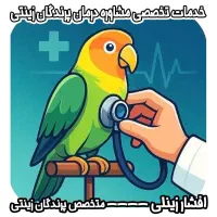 طوطی عروس هلندی گرینچیک دامپزشک راهب کاسکو قناری