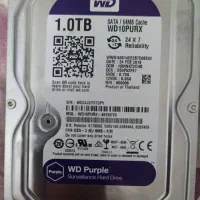 هارد وسترن ۱ ترابایت بنفش