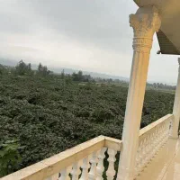 دنبال ویلای شسته و رفته ای این ویلارو اقساطی بخر|فروش خانه و ویلا|آمل, |دیوار