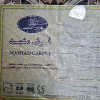 فرش ۱۲ متری|فرش|گرگان, |دیوار