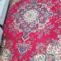 فروش فرش دستی ۱۲ متری یک جفت|فرش|مرند, |دیوار