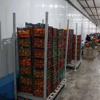 فروش فوری سردخانه ۵۰۰ تنی