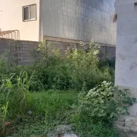 فروش زمین سندارشهرک کامرانیه با جواز ساخت۲طبقه|فروش زمین و ملک کلنگی|رشت, کوی غلام نیا|دیوار