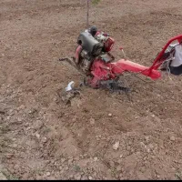 شخم زنی با کلتیواتور