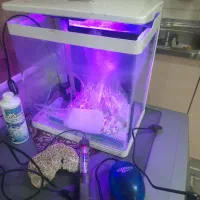 آکواریوم با تمام متعلقات|ماهی|تهران, دکتر هوشیار|دیوار