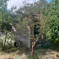 باغ|فروش زمین و ملک کلنگی|گرمخان, |دیوار