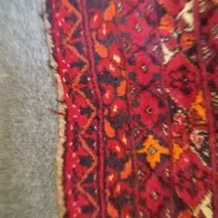 فرش پشمی دستباف قدیمی|فرش|مشهد, احمدآباد|دیوار