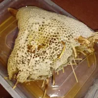 عسل وحشی|خوردنی و آشامیدنی|آبپخش, |دیوار