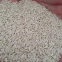 برنج لنجان و خرده دو قد|خوردنی و آشامیدنی|اصفهان, باغ فردوس|دیوار
