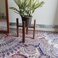 استند|گل و گیاه طبیعی|بروجرد, |دیوار
