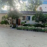 سرایداری
