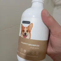 واگذاری سگ شیتسو کاملا رایگان