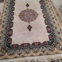 قالی ۱۲متری تمیز تمیز