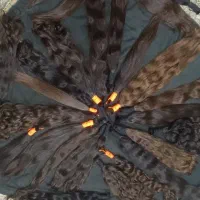 فروش و خریدار موی طبیعی