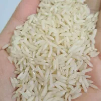 برنج طارم کلات