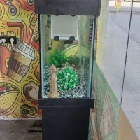 آکواریوم با تمامی وسایل|ماهی|محمدشهر, ولدآباد|دیوار