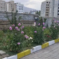 خانه استخردار    دوخوابه ۱۵۰متری حیاط باغ|اجارهٔ کوتاه‌مدت ویلا و باغ|سرعین, |دیوار