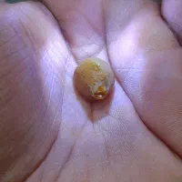 سنگ|جواهرات|آبادان, |دیوار