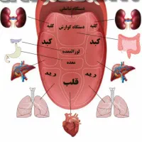 کار در منزل ویژه بانوان